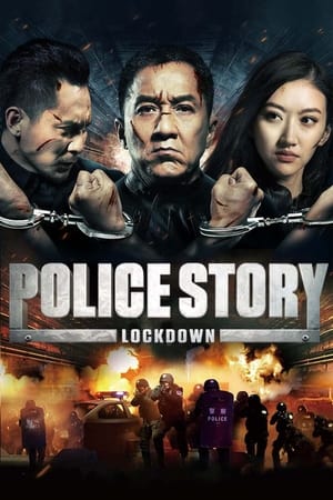 Police Story: Lockdown (2013)