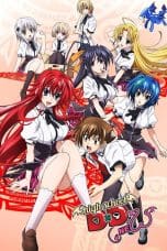 Nonton High School D×D New Season 2 (2013) Subtitle Indonesia