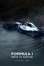 Formula 1: Drive to Survive Season 2 (2020)