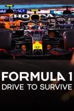 Formula 1: Drive to Survive Season 1 (2019)