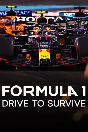 Formula 1: Drive To Survive Season 1 (2019)