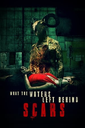 What The Waters Left Behind: Scars (2023)