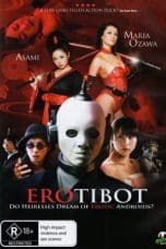 Erotibot (2011)