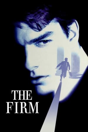 The Firm (1993)