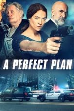 Notnon A Perfect Plan (2020) Subtitle Indonesia