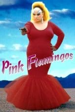 Nonton Pink Flamingos (1972) Subtitle Indonesia