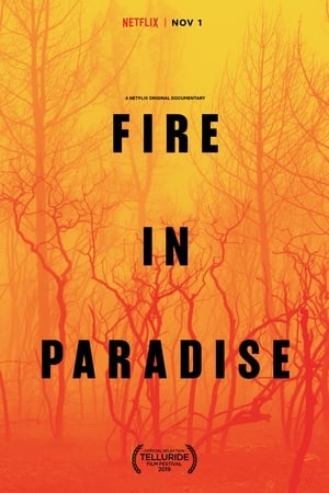 Fire In Paradise (2019)