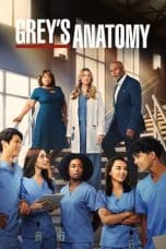 Nonton Grey’s Anatomy Season 1-19 (2005) Subtitle Indonesia