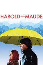 Notnon Harold and Maude (1971) Subtitle Indonesia