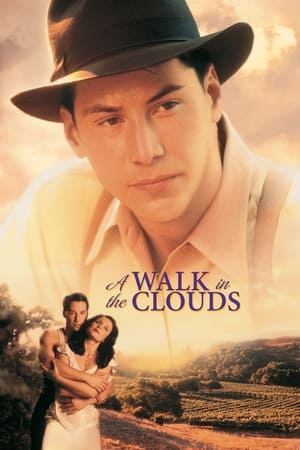 A Walk In The Clouds (1995)