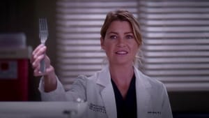 Grey’s Anatomy Season 10 Episode 8