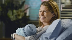 Grey’s Anatomy Season 9 Episode 24