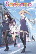 Saekano: How to Raise a Boring Girlfriend (2015)