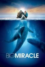 Notnon Big Miracle (2012) Subtitle Indonesia