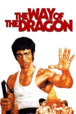 Nonton The Way of the Dragon (1972) Subtitle Indonesia