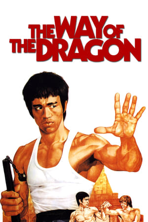 The Way Of The Dragon (1972)