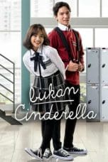 Notnon Bukan Cinderella (2022) Subtitle Indonesia