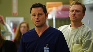 Grey’s Anatomy Season 12 Episode 20