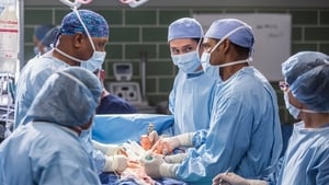 Grey’s Anatomy Season 12 Episode 13