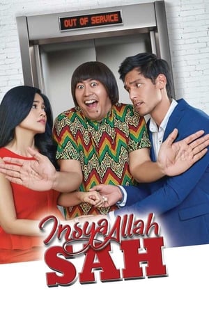 Insya Allah Sah (2017)