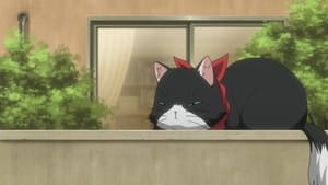 Nyan Koi! Season 1 Episode 11