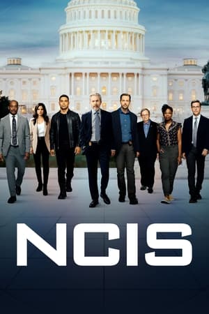 NCIS Season 21 (2024)