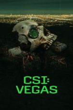 Nonton CSI: Vegas Season 3 (2024) Subtitle Indonesia