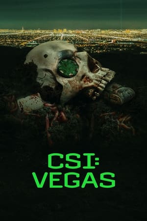 CSI: Vegas Season 3 (2024)