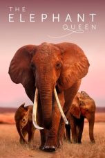 Nonton The Elephant Queen (2019) Subtitle Indonesia