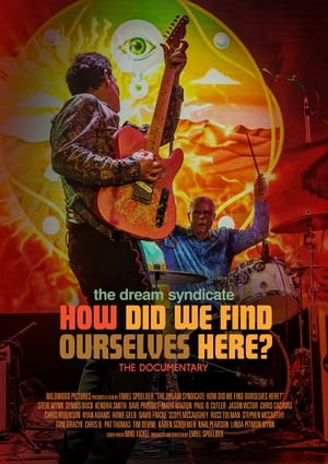 The Dream Syndicate: How Did We Find Ourselves Here? (2023)