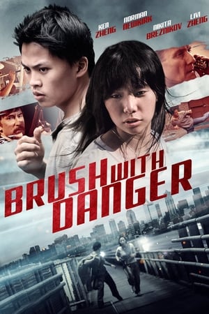 Brush With Danger (2014)