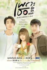 Nonton A Love So Beautiful (2024) Subtitle Indonesia