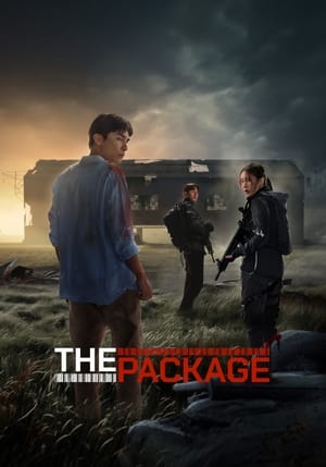 The Package (2024)