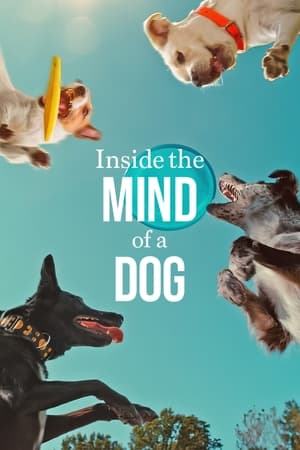 Inside The Mind Of A Dog (2024)