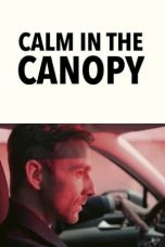 Calm in the Canopy (2023)