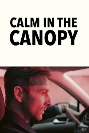 Calm In The Canopy (2023)