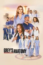 Nonton Grey’s Anatomy Season 21 (2024) Subtitle Indonesia