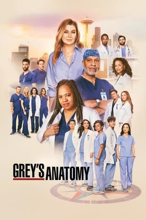 Grey’s Anatomy Season 21 (2024)