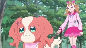 Wonderful Precure! Season 1 Episode 40