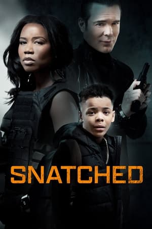 Snatched (2024)